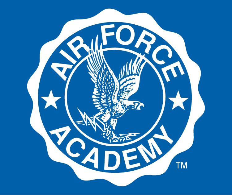 Air Force Falcons 1963-Pres Alternate Logo v2 DIY iron on transfer (heat transfer)